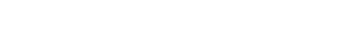 United Nations Alliance of Civilizations Fellowship Program